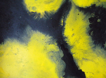 Named contemporary work « Yellow and black », Made by REZA BANISADRE