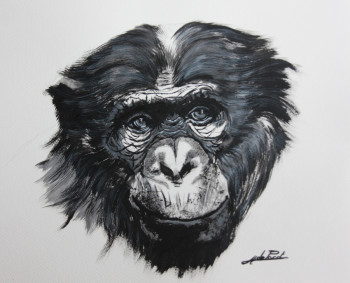 Named contemporary work « Tête de Singe », Made by DE PORET JB