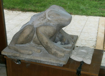 Named contemporary work « La grenouille (Détail) 2 », Made by ZOABUC