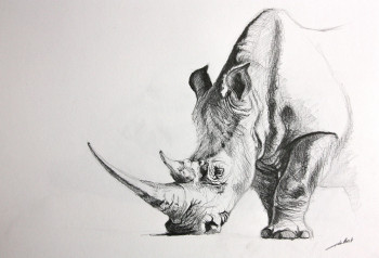 Named contemporary work « Dessin rhinoceros », Made by DE PORET JB