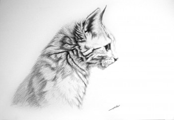 Named contemporary work « Dessin de Chat », Made by DE PORET JB