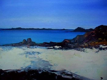 Named contemporary work « plage et rochers a kerfissien », Made by ALAIN COJAN