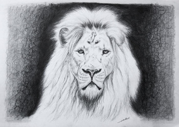 Named contemporary work « Dessin de Lion », Made by DE PORET JB