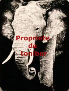 Named contemporary work « Elephant », Made by TONIBER