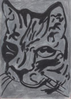 Named contemporary work « Le chat gris », Made by SAMACHER