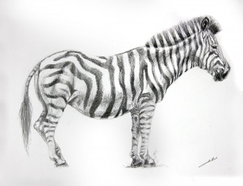 Named contemporary work « Dessin de zebre », Made by DE PORET JB