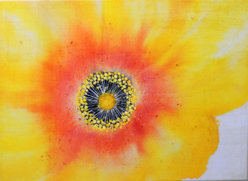 Named contemporary work « Coquelicot N°5 », Made by SOMSOM