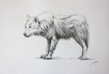 Named contemporary work « Dessin de Loup », Made by DE PORET JB