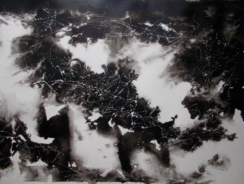 Named contemporary work « Encre de chine (11a) », Made by MARTINE MOREAU