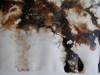 Named contemporary work « Encre de chine - sépia (10b) », Made by MARTINE MOREAU