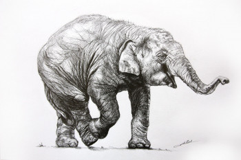 Named contemporary work « Dessin d'Elephanteau », Made by DE PORET JB