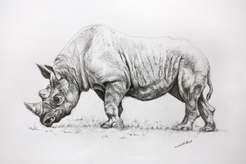 Named contemporary work « Dessin de Rhinoceros 2 », Made by DE PORET JB