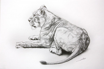 Named contemporary work « Dessin de Lionne », Made by DE PORET JB