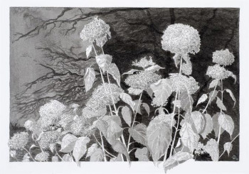 Named contemporary work « Hortensias-2 », Made by JYCé