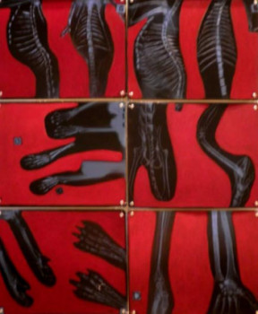 Contemporary work named « kakémono », Created by MAJO MARCHAND