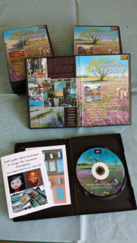 Named contemporary work « DVD "comment bien débuter au pastel sec », Made by MARIE-PIERRE LE SELLIN