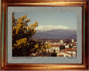 Named contemporary work « Catalogne nord, Maureillas et mimosas 1994 », Made by EMILE RAMIS