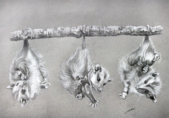 Named contemporary work « Opossum », Made by DE PORET JB