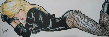 Named contemporary work « black canary  1 », Made by DC ARTWORK