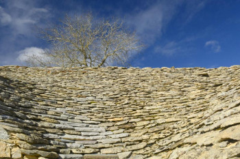 Named contemporary work « L'arbre et la lauze (Aveyron) », Made by ERIC TRANNOIS