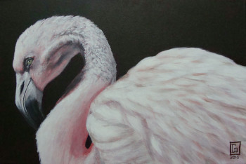 Named contemporary work « Flamand rose », Made by CONSTANT ORION