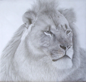 Named contemporary work « Lion », Made by CONSTANT ORION