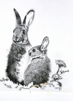 LAPINS On the ARTactif site