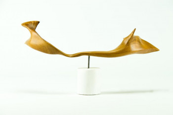 Named contemporary work « Sans nom 2 », Made by MICHEL CARETTE