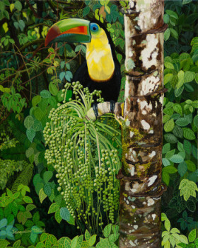 Named contemporary work « Toucan dans la jungle du Costa Rica », Made by JACQUELINE VERNAY-MILLOT