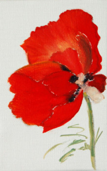 coquelicot 3 On the ARTactif site