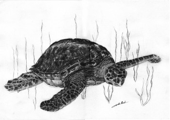 Named contemporary work « Tortue », Made by DE PORET JB