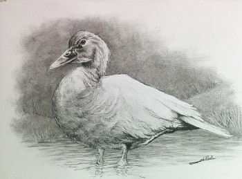 Named contemporary work « Coin-coin le canard », Made by DE PORET JB