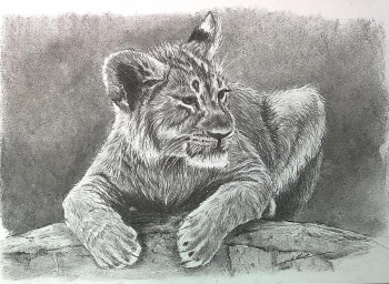 Named contemporary work « Leo le lionceau », Made by DE PORET JB