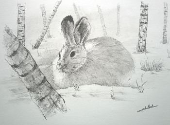 Named contemporary work « Lapin », Made by DE PORET JB