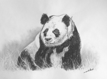 Named contemporary work « Panda-Pando », Made by DE PORET JB