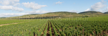 Named contemporary work « Panorama of the Wine of Beaune, Bourgogne », Made by NICOLAS PORTAIS