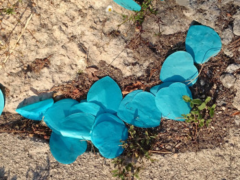 Blue heart On the ARTactif site