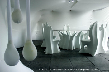 Named contemporary work « Mangrove Givrée  », Made by FRANçOIS GERMAIN