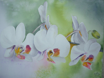 Named contemporary work « Orchidées blanches », Made by JACQUES MASCLET