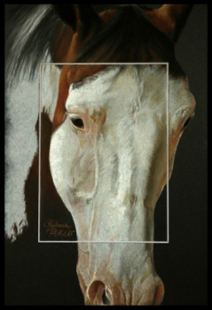 Contemporary work named « Tête Paint Horse », Created by STéPHANIE PéRICAT PASTELLISTE PRO