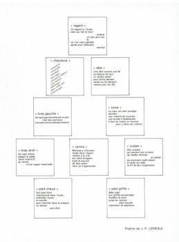 Named contemporary work « Morceaux choisis, descriptif », Made by JACQUES BRACHET