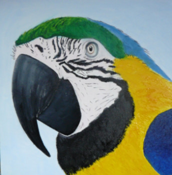 Named contemporary work « Ara bleu du Parc Amazonia », Made by PICH