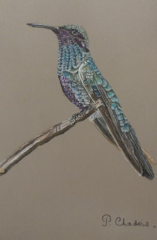 Contemporary work named « Colibri, le courageux », Created by PATCHA CRéATION