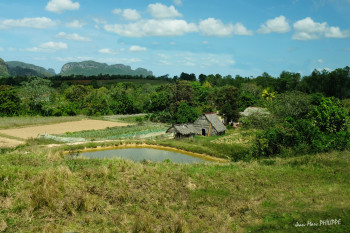 Named contemporary work « LA PETITE FERME 1 », Made by JEAN-MARC PHILIPPE