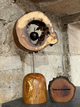 Contemporary work named « Pomme en apesanteur », Created by EMANUEL RAAB