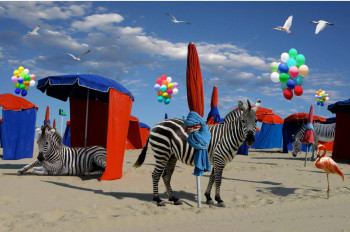 Named contemporary work « Zebra on the beach », Made by PATRICK LE HEC