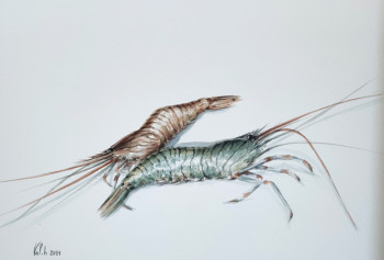 Contemporary work named « Crevettes », Created by VAL.H