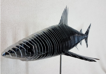 Contemporary work named « Chromium Shark », Created by JEAN-LUC NEGRO
