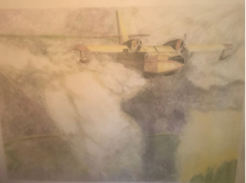 Named contemporary work « Canadair. », Made by DIDIER SITAUD