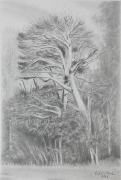 Contemporary work named « Un arbre en Novembre », Created by DIDIER SITAUD